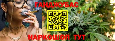 крисы Пенза