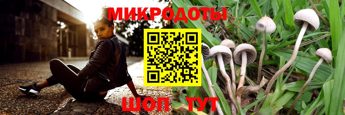 Псилоцибиновые грибы прущие грибы  Галлюциногенные грибы GOLDEN TEACHER  Вход с VPN  купить  сайты  Самара 